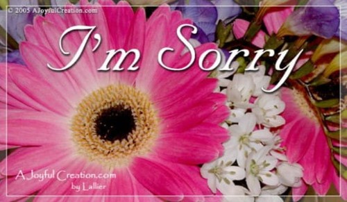 I'm Sorry