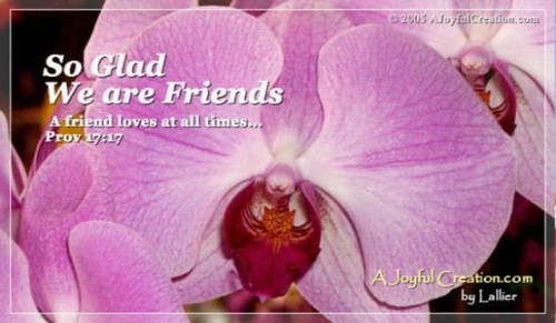 Friends