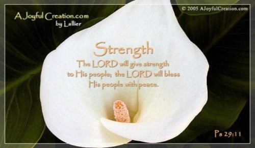 Strength