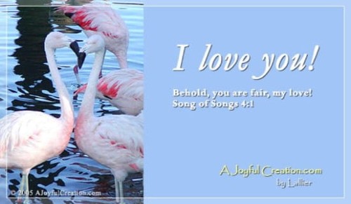 I Love You