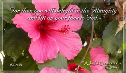 Job 22:26