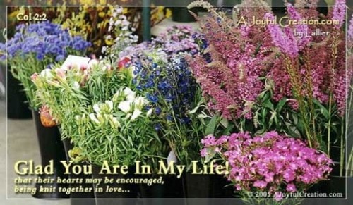 Glad You Are . . .