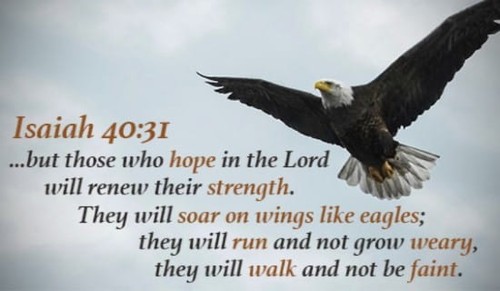 Renew my strength, O LORD