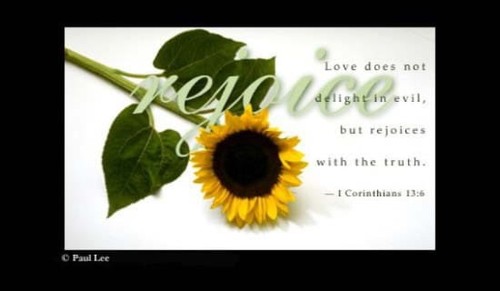 Love Rejoices