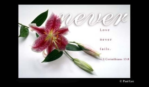 Love Never