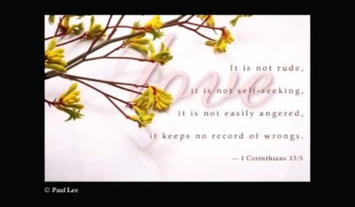 Love Is Not . . .