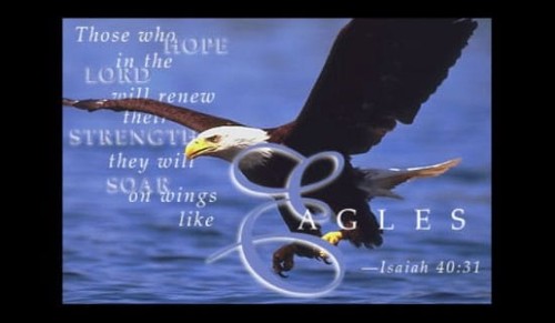 Wings of Eagles