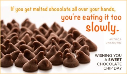 Chocolate Chip Day (8/4)