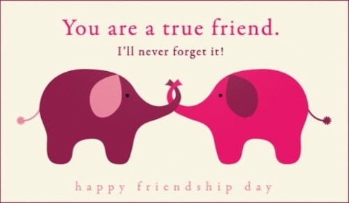 Friendship Day (8/7)