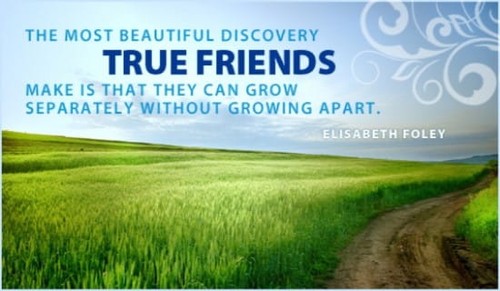 Friendship Day (8/7)