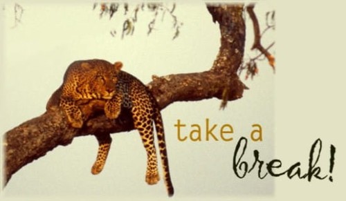 Take A Break!