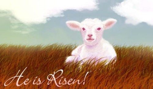 The Lamb of God