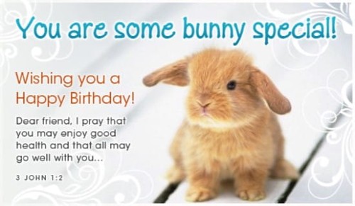 Some Bunny