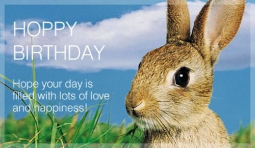 Hoppy Birthday