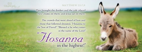 Hosanna