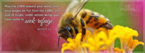 Seek Refuge