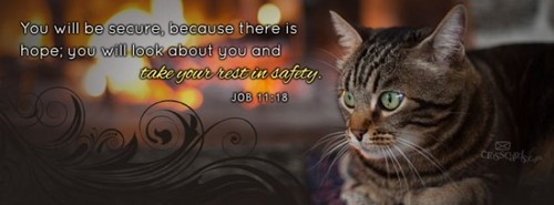 Rest in Safety - Job 11:18