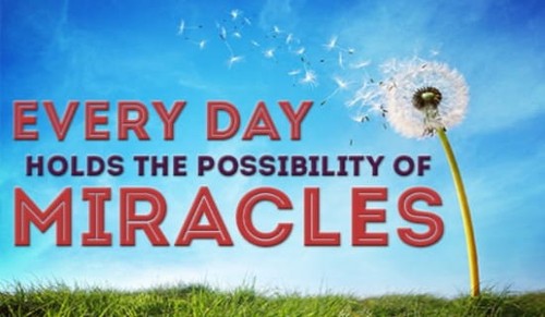 Miracles happen every day!