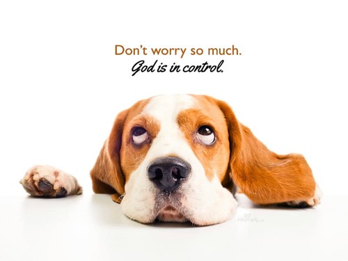 Don't Worry