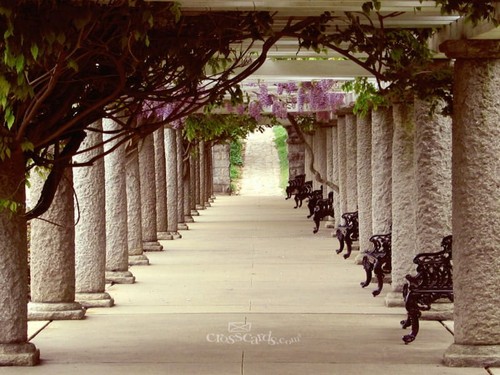 Pathway
