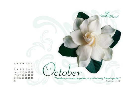 October 2010 - Matthew 5:8