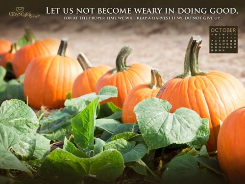 Oct 2012 - Do Good