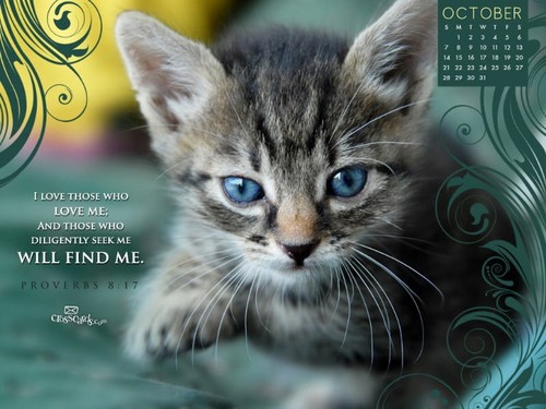 Oct 2012 - Seek Me
