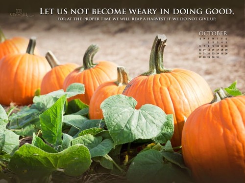 Oct 2013 - Galatians 6:9