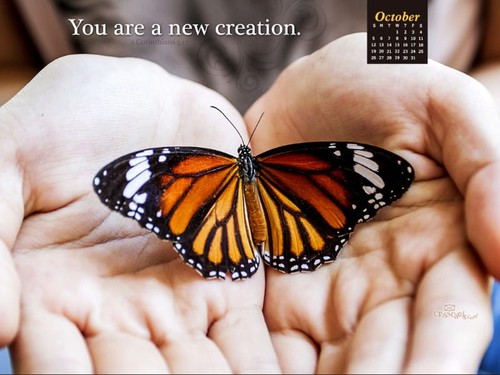 October 2014 - New Creation