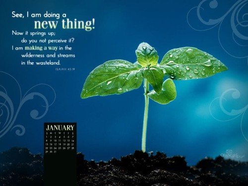 Jan 2012 - New Thing