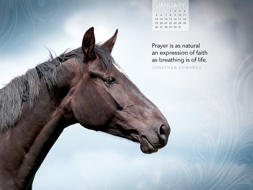 Jan 2014 - Prayer