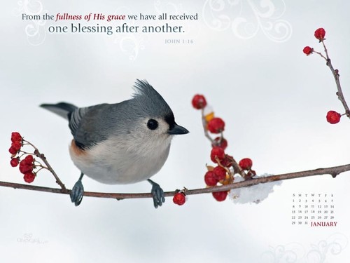 Jan 2012 - John 1:16