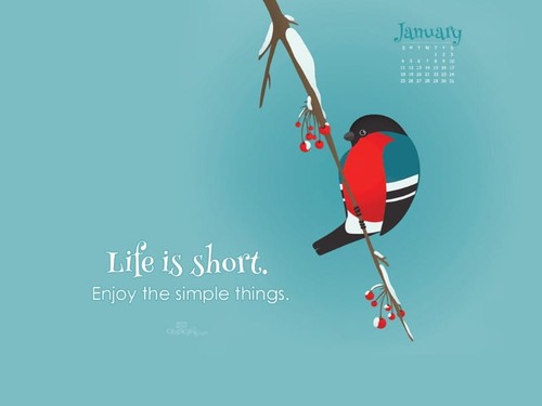 January 2015 - Life is Short