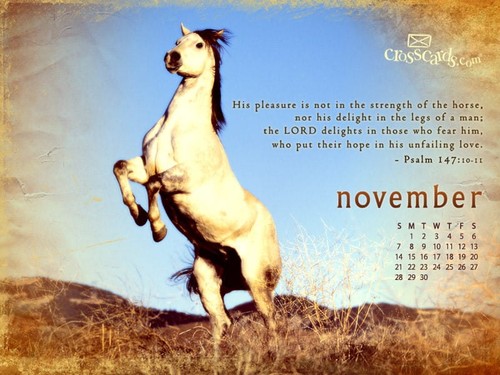 November 2010 - Psalm 147:10-11