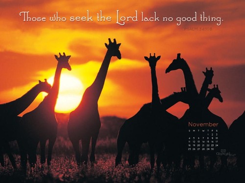 Nov 2012 - No Lack