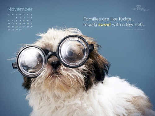 November 2011 - Nutty