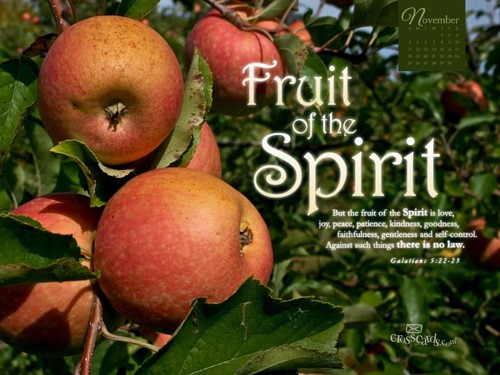 Nov 2012 - Fruit