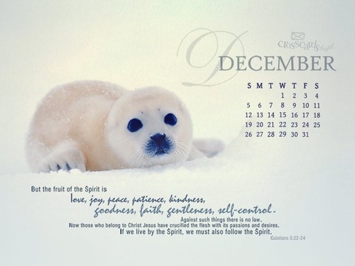 December 2010 - Seal