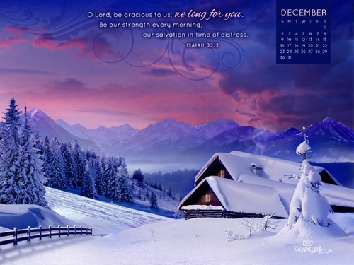 Dec 2012 - Cabin