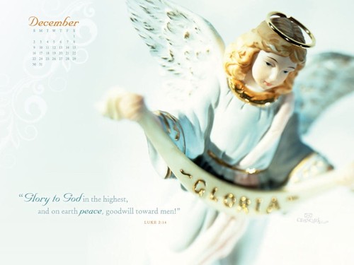 Dec 2012 - Angel