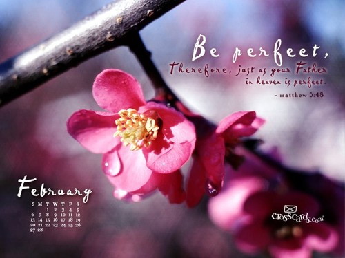 February 2011 - Matthew 5:8