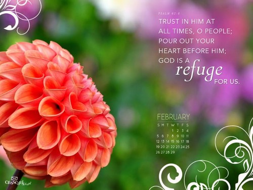 Feb 2012 - Refuge