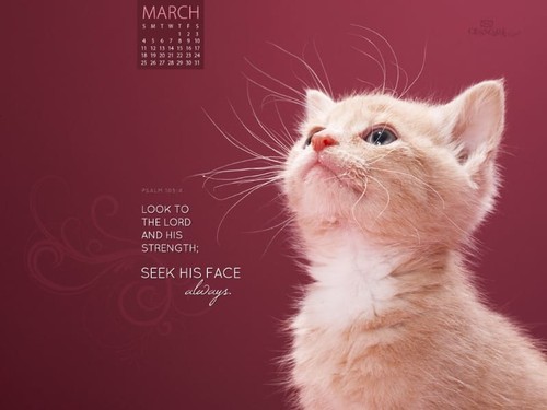 March 2012 - Seek His Face