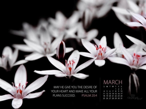 March 2012 - Ps. 20:4