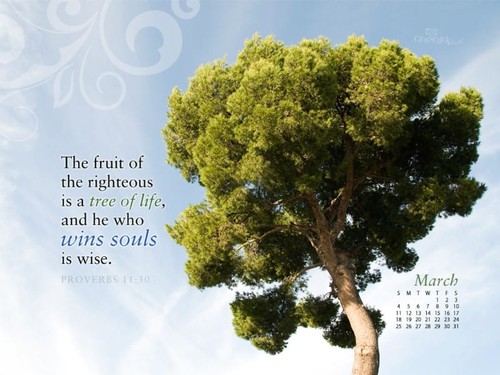 March 2012 - Win Souls