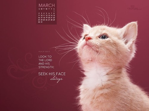 March 2014 - Psalm 105:4