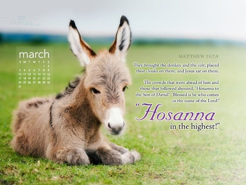 March 2013 - Hosanna