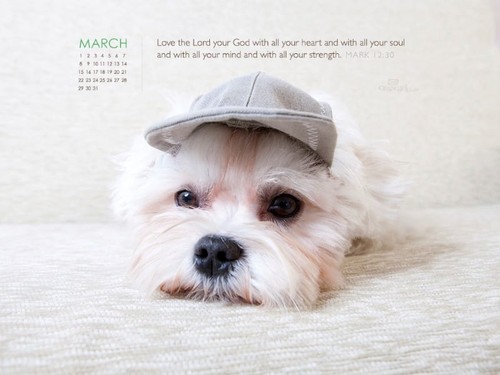 March 2015 - Mark 12:30