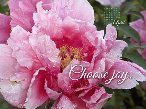 April 2014 - Choose Joy