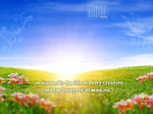 May 2012 - Job 12:10